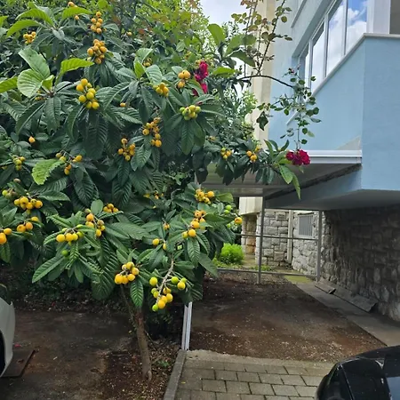 With Parking Space - 24814 Dubrovnik