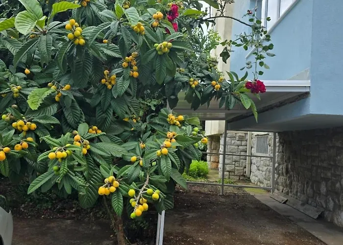 With Parking Space - 24814 Dubrovnik